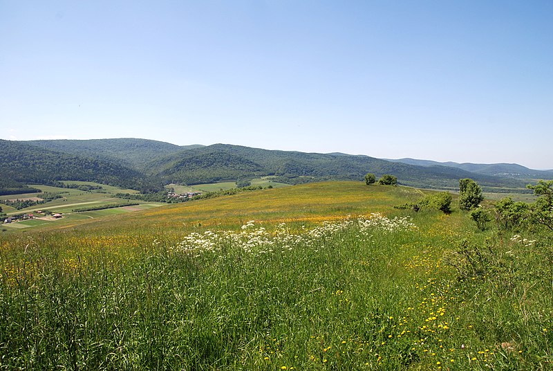 2022.04.30 Bucznik - Beskid Niski (archiwum)