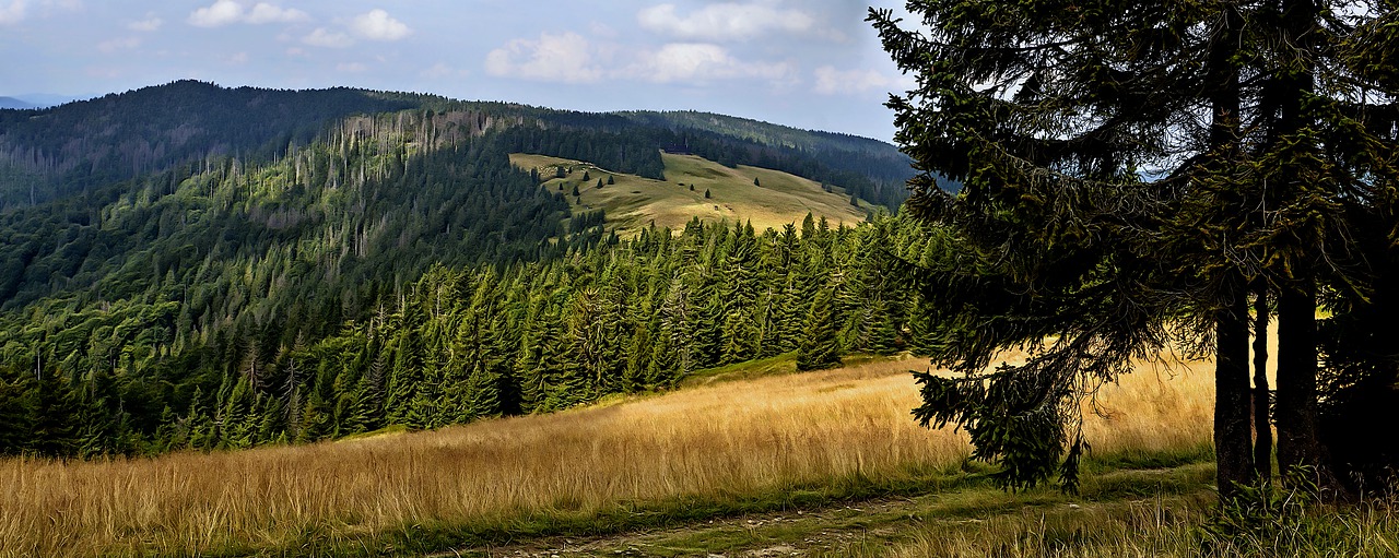 2022.05.21-22 Gorce i Beskid Wyspowy (archiwum)