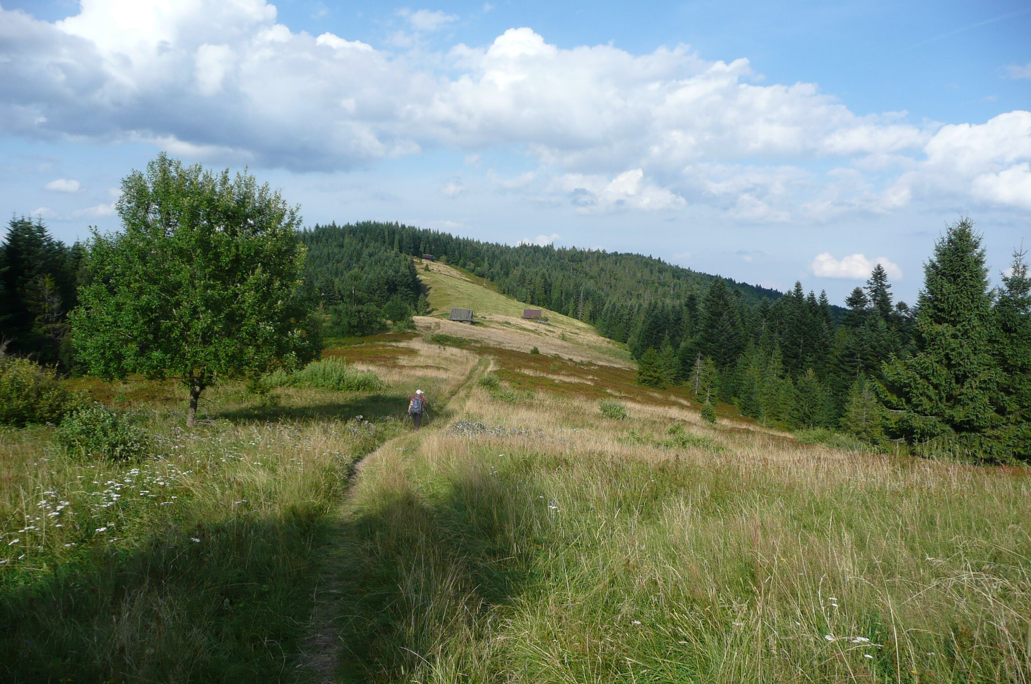 2022.05.14 Gorce - KUDŁOŃ (archiwum)