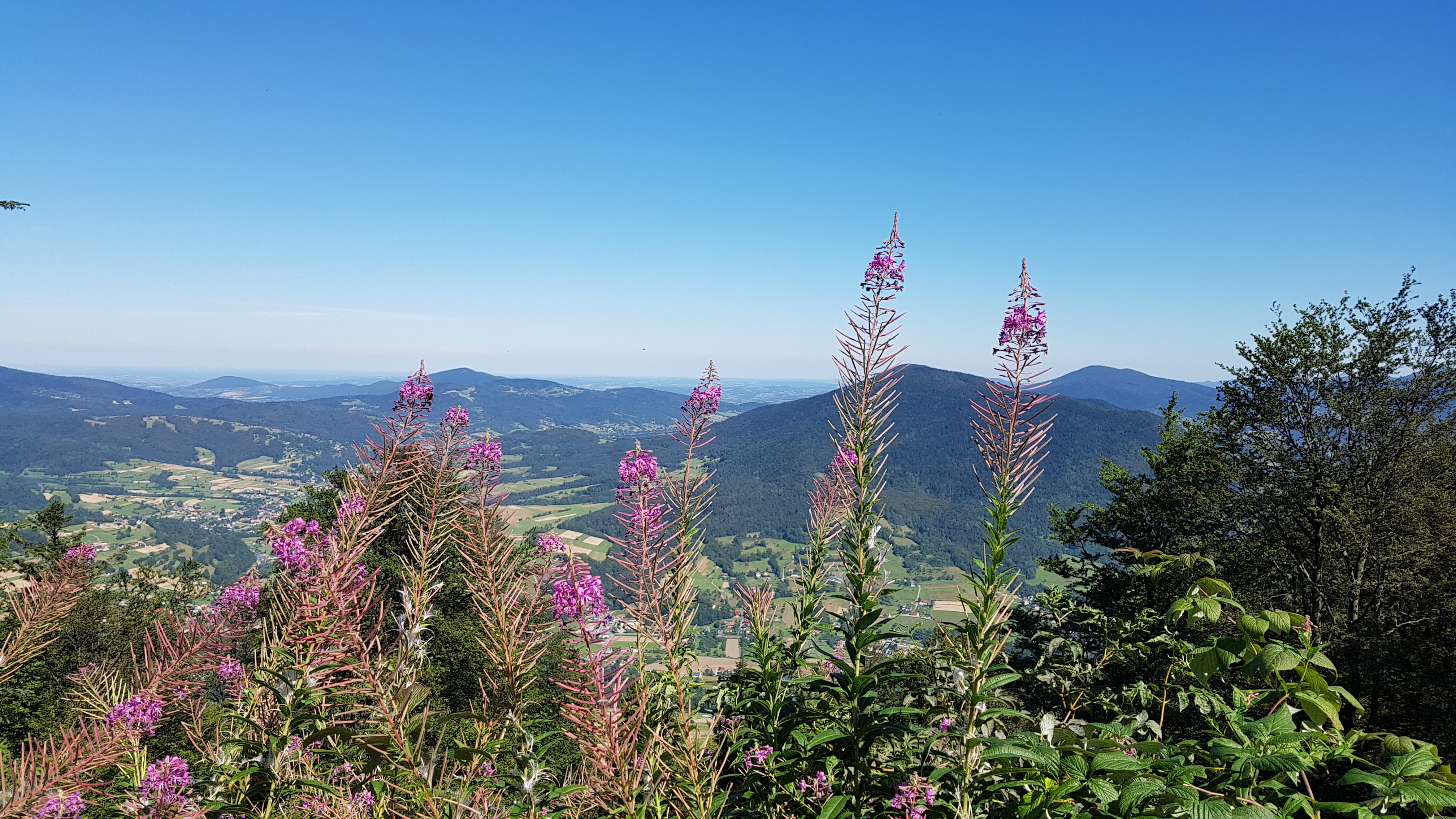 2022.06.04 Na Beskidzkich Perciach (archiwum)