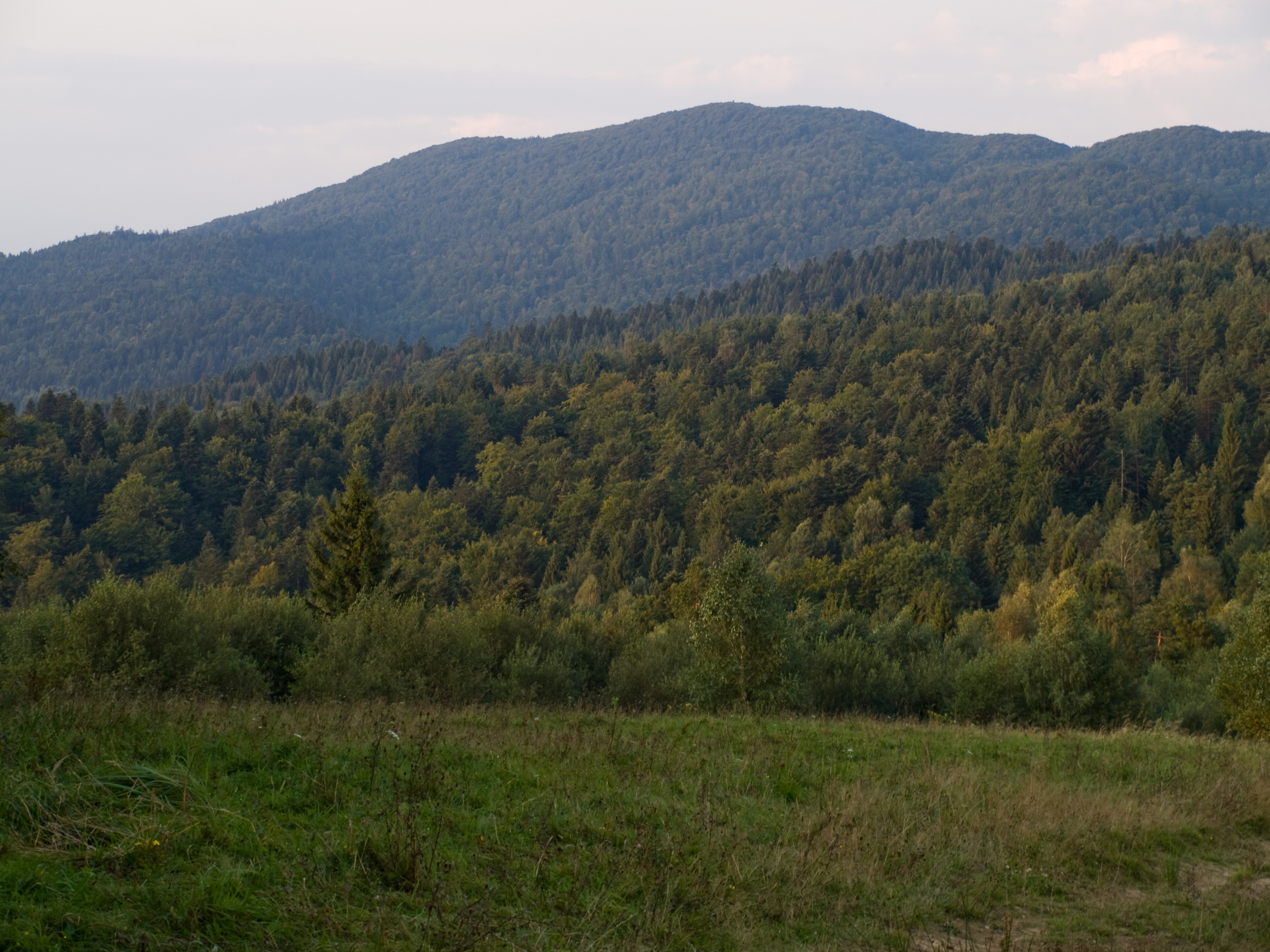 2022.06.05 Bieszczady - Łopiennik (archiwum)