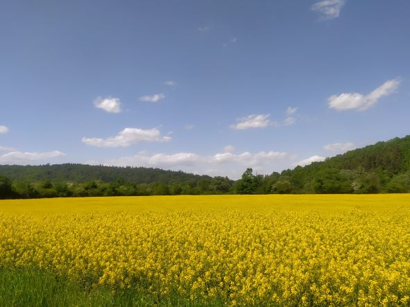2022.06.30 Pogórze Dynowskie - Dolina Sanu (archiwum)