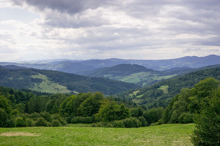 2023.07.30 Beskid Sądecki - Pusta 867 m (archiwum)