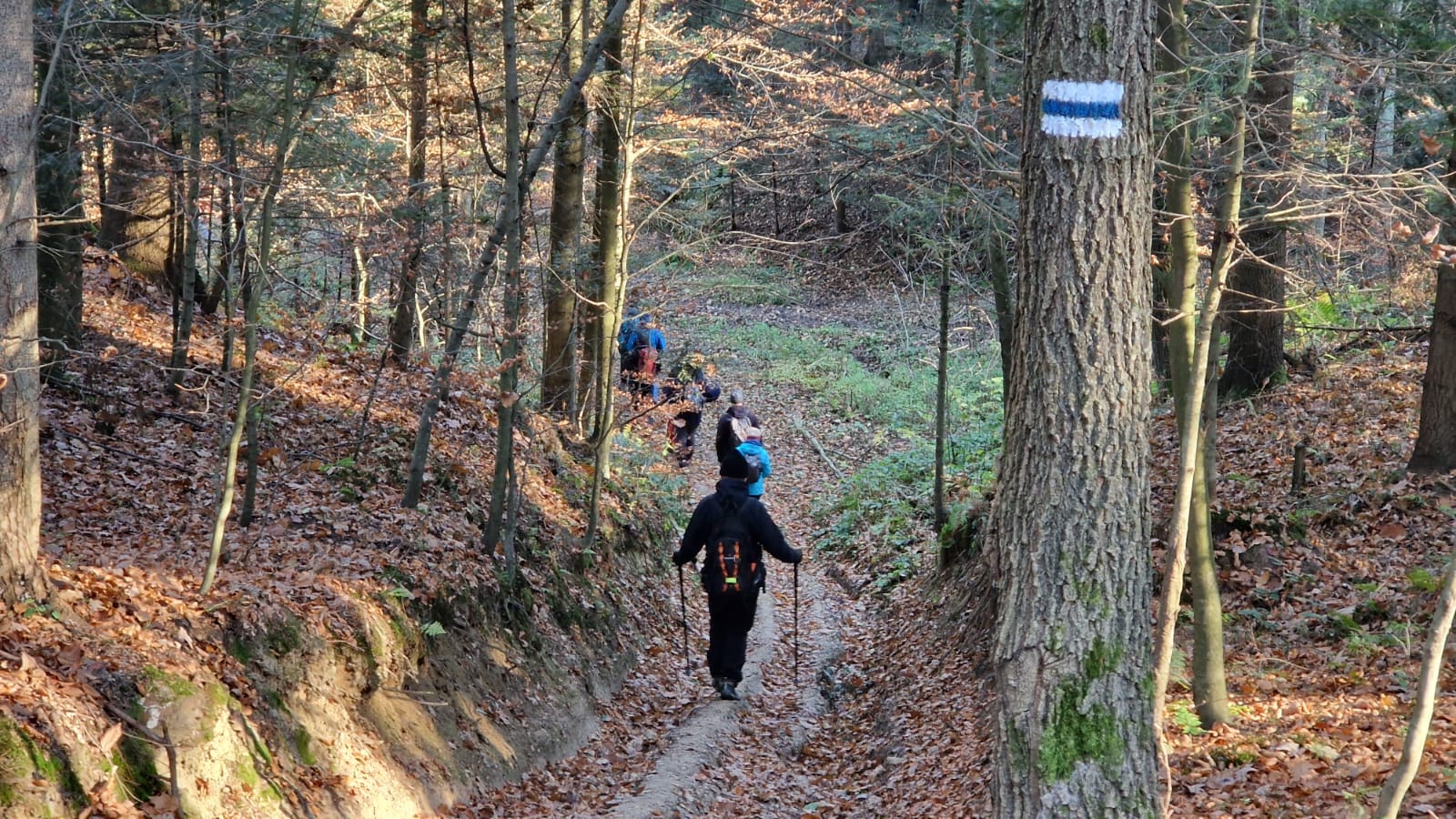 Informacja dotycząca Szlaku Niebieskiego