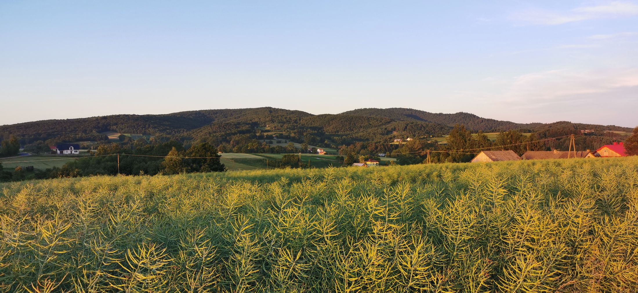 27.07.2025 Żółtym szlakiem - Liwocz (archiwum)
