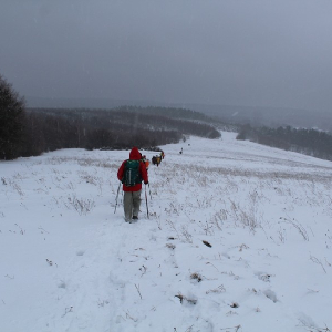 04.01.2025 NA TRZECH KRÓLI TUP,TUP, TUP  (archiwum)