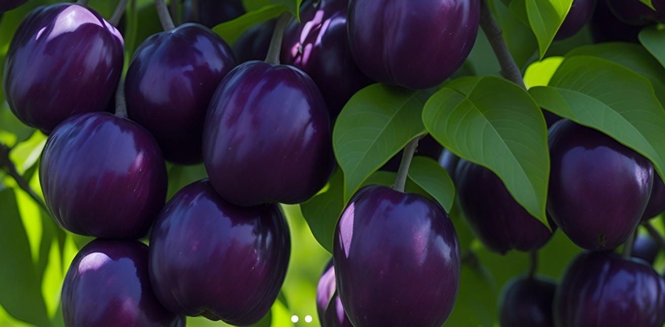 26.03.2026 Muzeum śliwki i nie tylko...