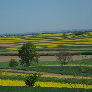 26.04.2026 Roztocze - Doliną Łówczanki