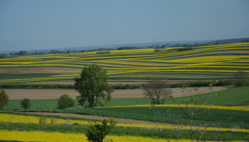 26.04.2026 Roztocze - Doliną Łówczanki (archiwum)