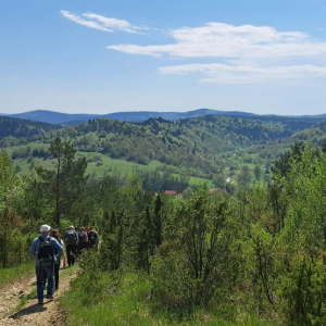 01.05.2026 Majówka na Pogórzu Dynowskim