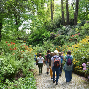 17.05.2026 Bolestraszyce i Fort Duńkowiczki