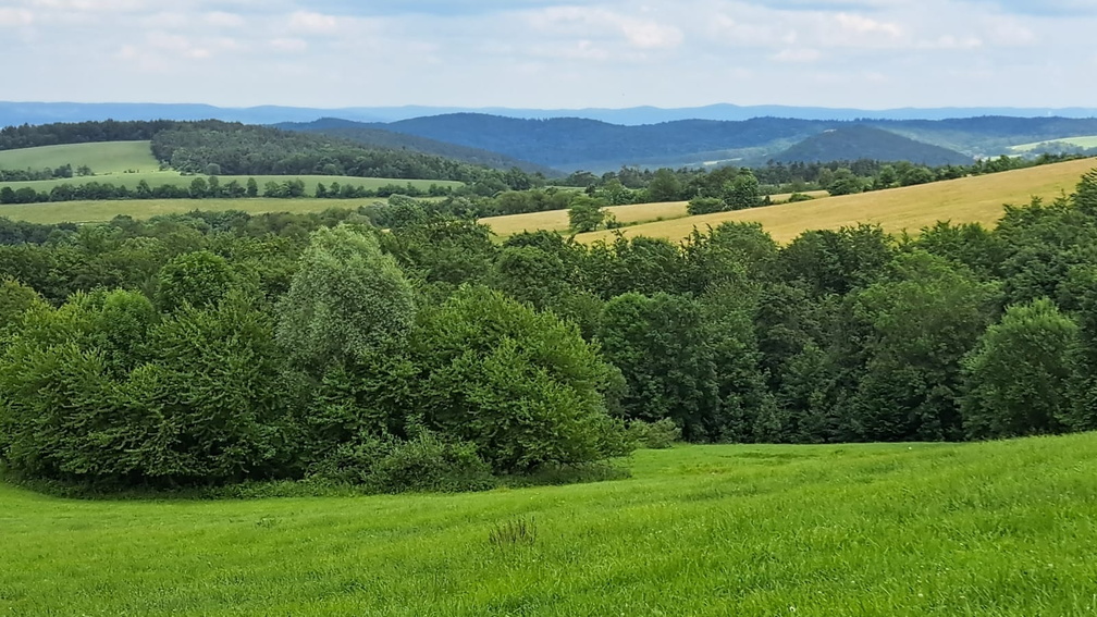 21.05.2026  Beskid Niski w stylu "Slow"  - Tokarnia 778 m