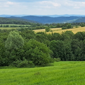 21.05.2026  Beskid Niski w stylu "Slow"  - Tokarnia 778 m