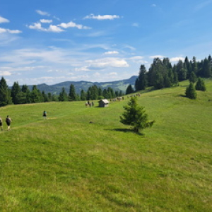 30.05.2026 Beskid Sądecki i Pieniny Rez. Biała Woda
