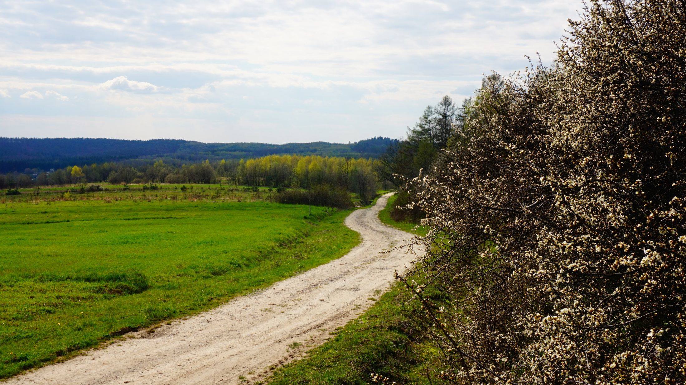 31.05.2026 Podróże małe i duże - Pogórze Dynowskie