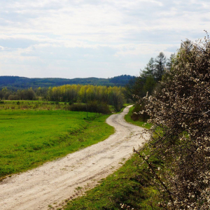31.05.2026 Podróże małe i duże - Pogórze Dynowskie