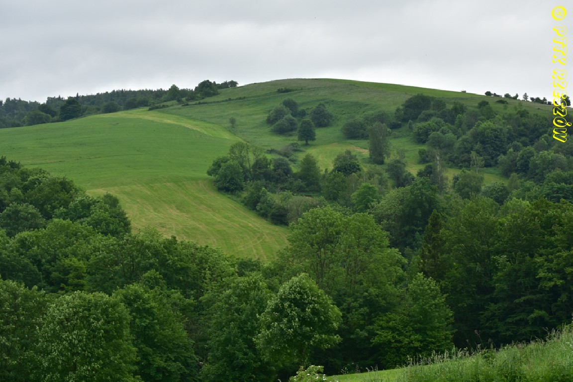 07.06.2026 Beskid Niski - Pagórek i Bucznik 