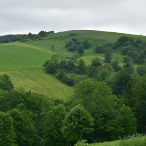 07.06.2026 Beskid Niski - Pagórek i Bucznik 