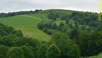 07.06.2026 Beskid Niski - Pagórek i Bucznik 