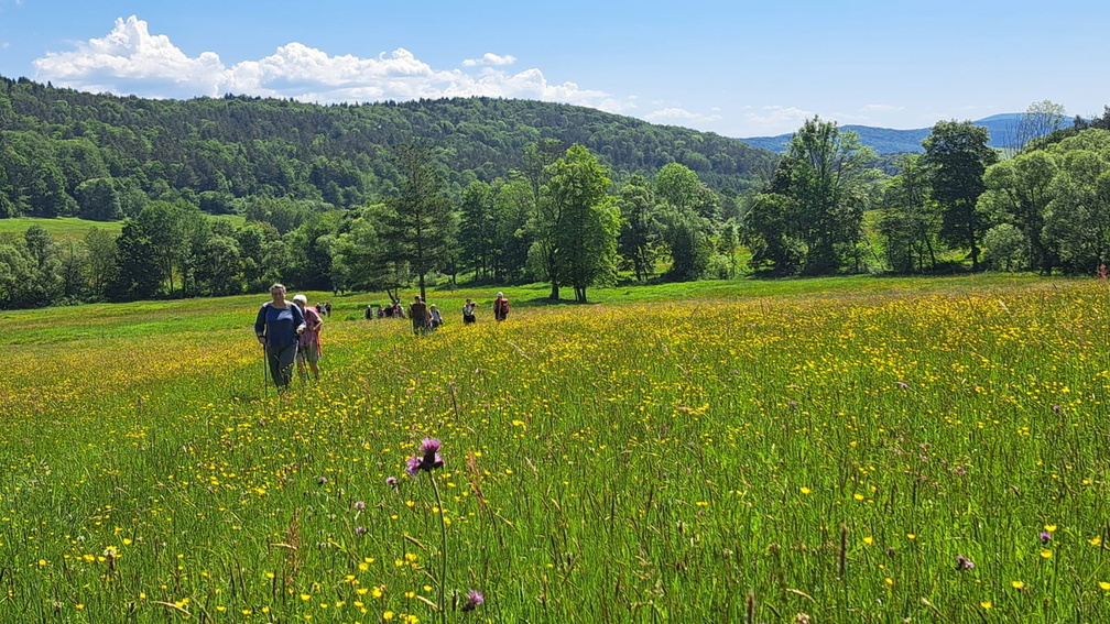 13.06.2026 Beskid Niski - Baranie 752 m