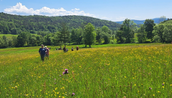13.06.2026 Beskid Niski - Baranie 752 m