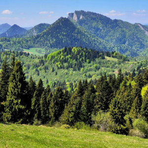27.06.2026 „Z Polski do Polski przez Pieniny Słowackie”